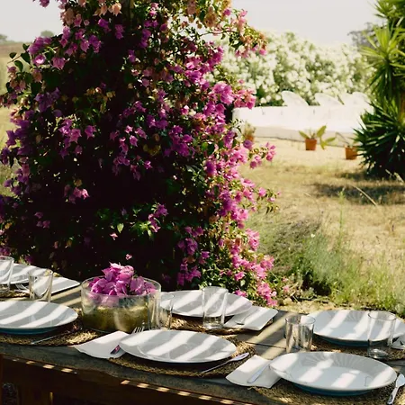 Villa Casazul Slow In Nature Bicas