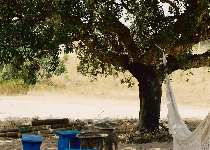 Casazul Slow In Nature * Bicas