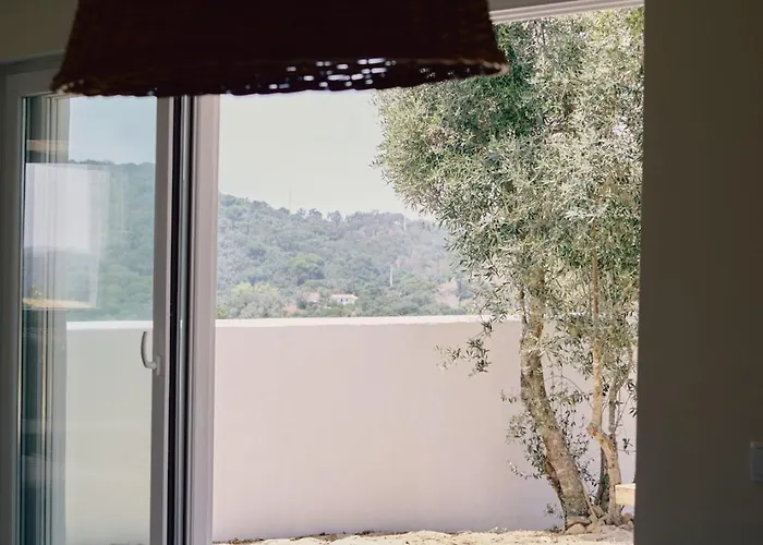 Casazul Slow In Nature Bicas